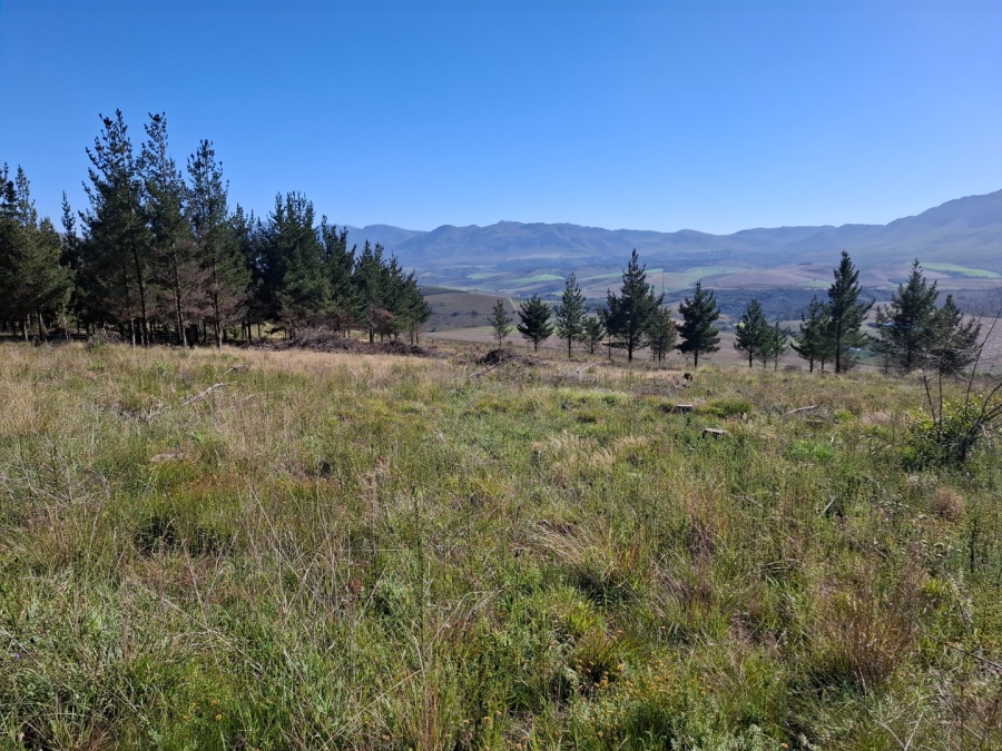  Bedroom Property for Sale in Riversdale Rural Western Cape